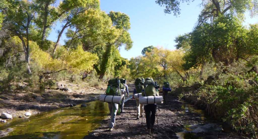 a group of gap year students hike beside a tree-lined creek on an outward bound course in texas